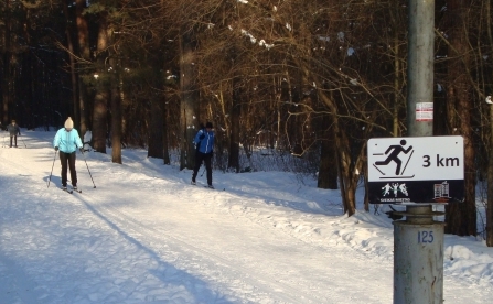 slidinėjimo-trasa vingio parke